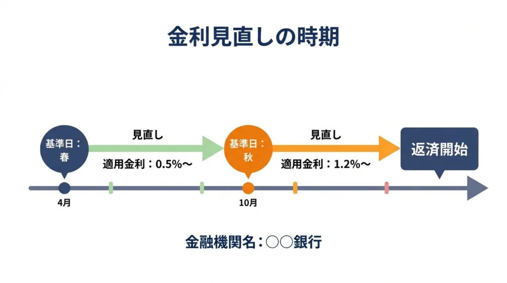 年2回の金利見直しを示す時間軸図